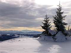 IMG_4564bis.JPG